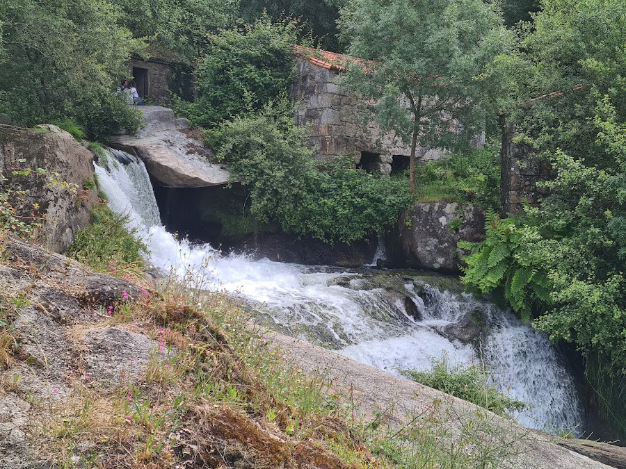 Barosa