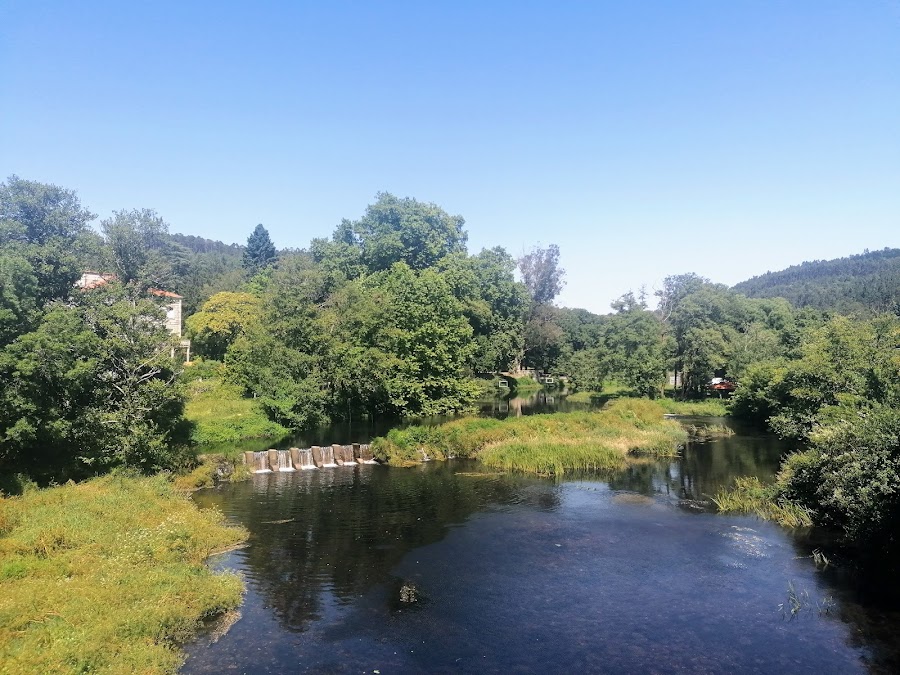 Carballeira de Caldas de Reis
