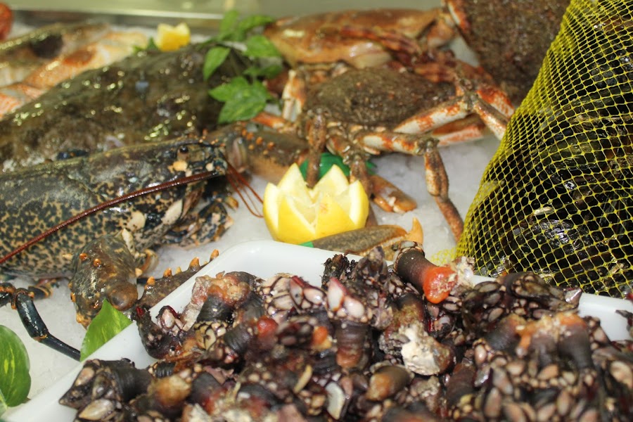 Expomar Cedeira Gourmet