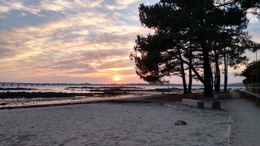 Playa del terron
