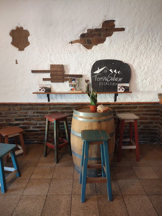 TERRIÑA SALVAXE escaleira