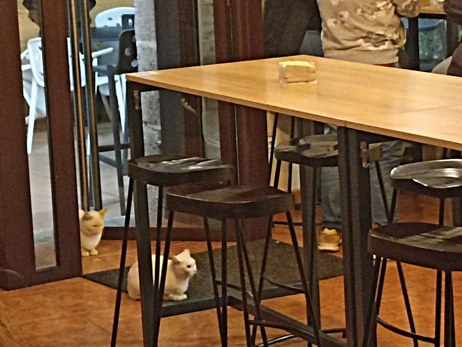 Restaurantes en Tomiño provincia de Pontevedra