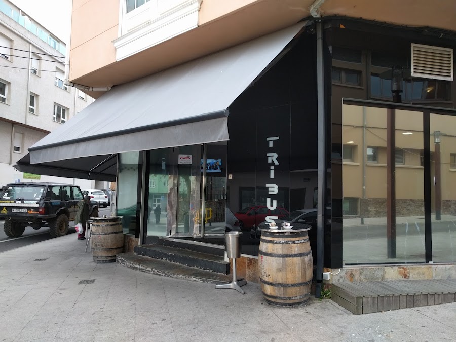 Tribus ~ Bar